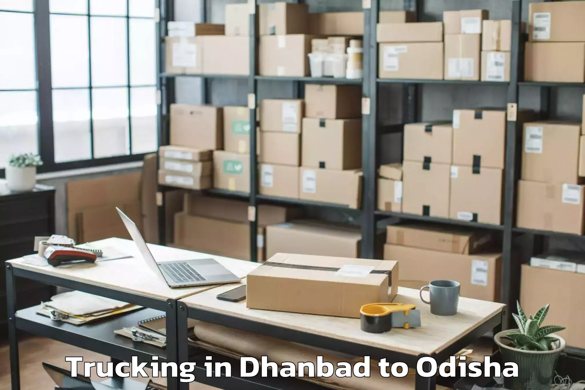 Book Dhanbad to Barkote Trucking Online